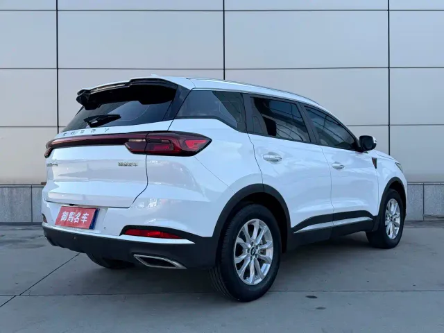 Chery Tiggo 7 PLUS — Фото автомобиля 6