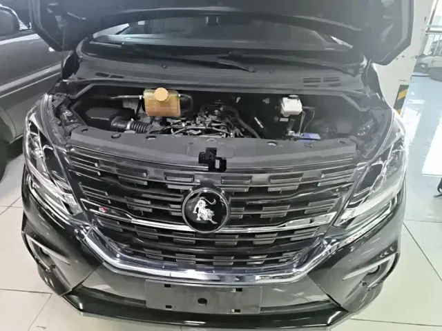 Forthing Fengxing M7 — Фото автомобиля 19
