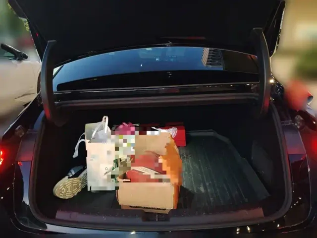 Geely Galaxy Xingyao 8 — Фото автомобиля 9