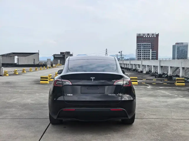 Tesla Model Y — Фото автомобиля 5