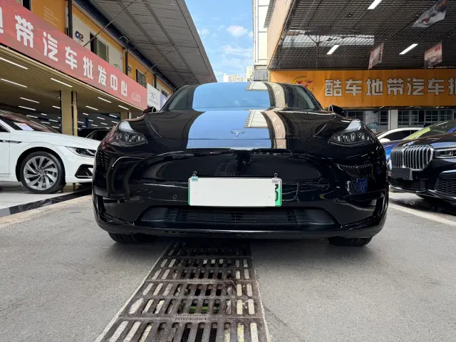 Tesla Model Y — Фото автомобиля 2