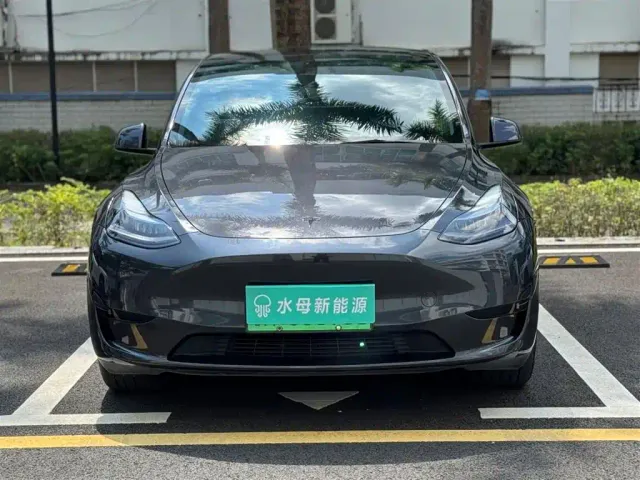 Tesla Model Y — Фото автомобиля 2