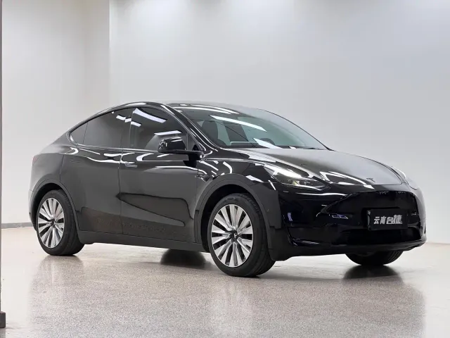 Tesla Model Y — Фото автомобиля 3