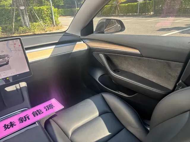 Tesla Model 3 — Фото автомобиля 10