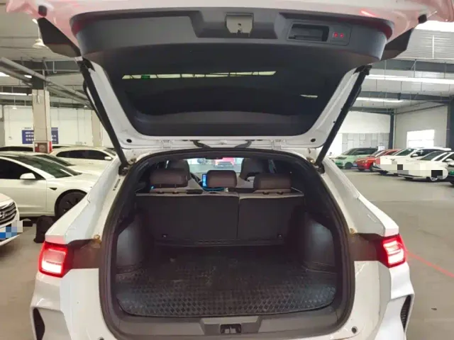 BYD Song PLUS — Фото автомобиля 18