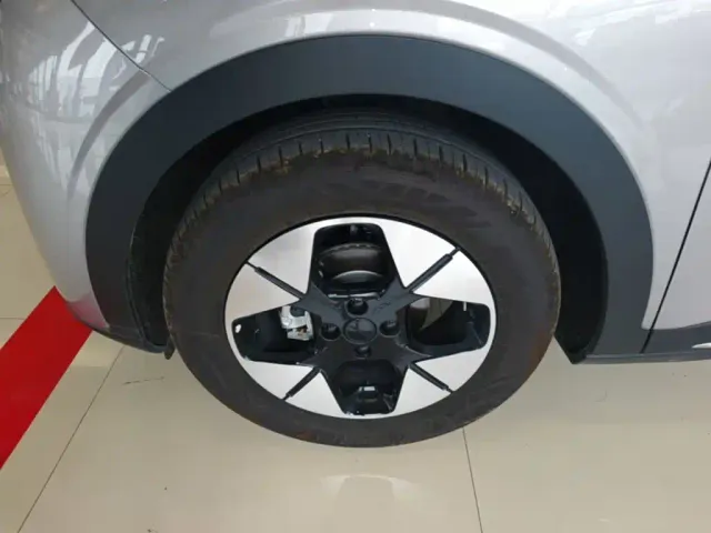 Geely Starry Wish — Фото автомобиля 22