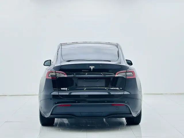 Tesla Model Y — Фото автомобиля 6