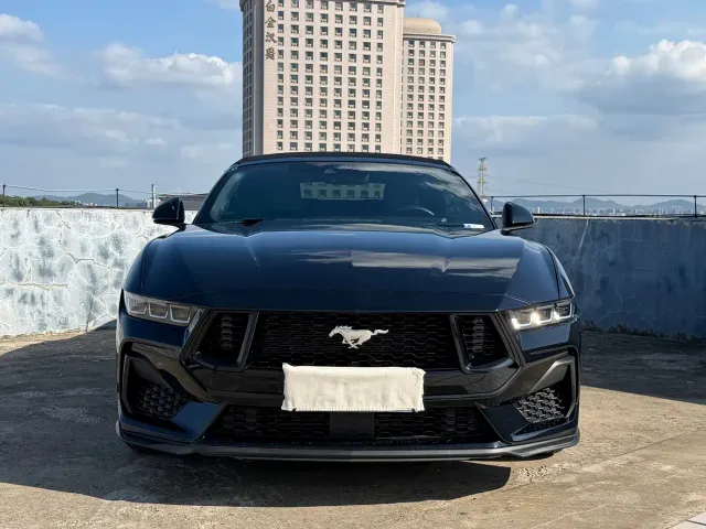 Ford Mustang — Фото автомобиля 3