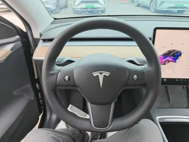 Tesla Model Y — Фото автомобиля 10