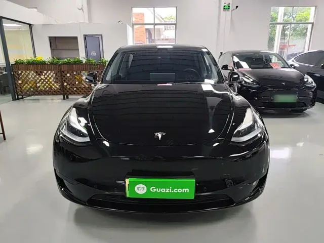 Tesla Model Y — Фото автомобиля 2