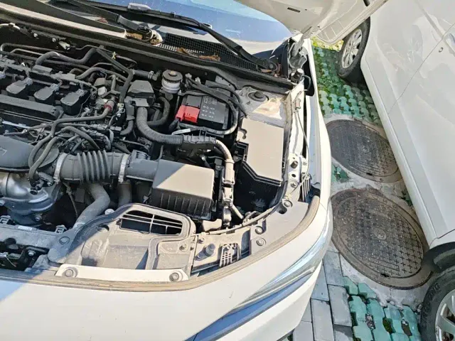 Honda Civic — Фото автомобиля 21
