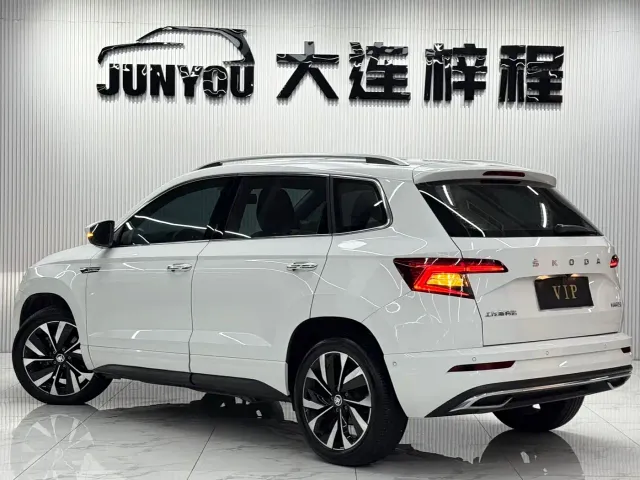 Skoda Karoq — Фото автомобиля 6