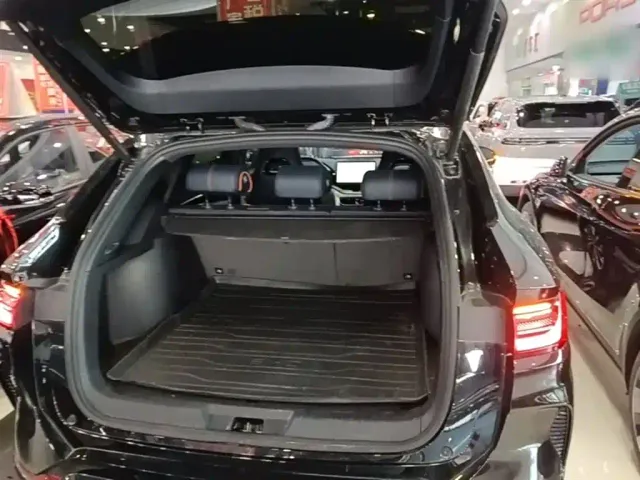 BYD Song PLUS — Фото автомобиля 18
