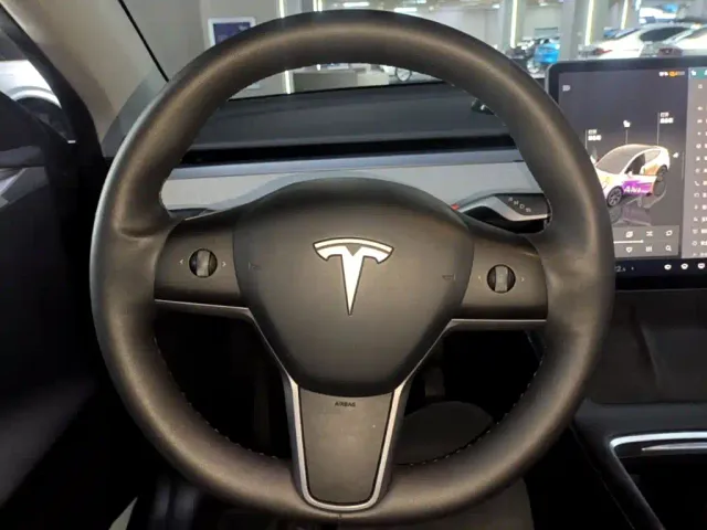 Tesla Model Y — Фото автомобиля 10