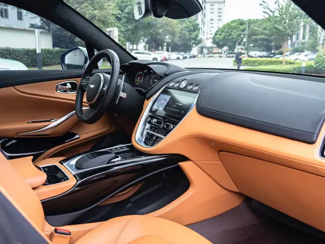 Aston Martin DBX — Фото автомобиля 18