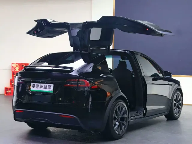 Tesla Model X — Фото автомобиля 20