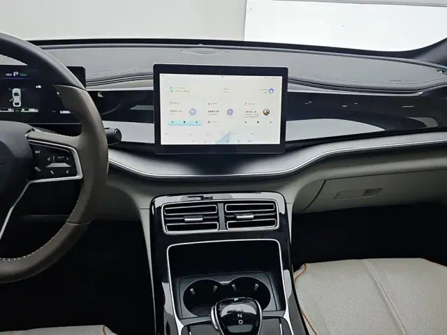 BYD Qin PLUS — Фото автомобиля 13