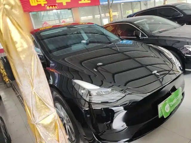 Tesla Model Y — Фото автомобиля 3