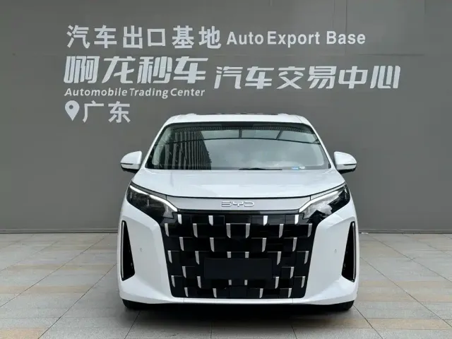 BYD M9 — Фото автомобиля 2