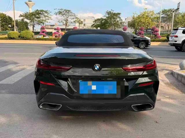 BMW 8 Series — Фото автомобиля 4