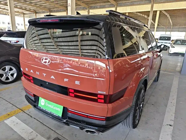 Hyundai Santa Fe — Фото автомобиля 6