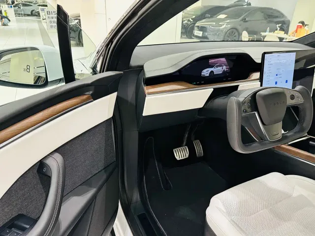 Tesla Model X — Фото автомобиля 10