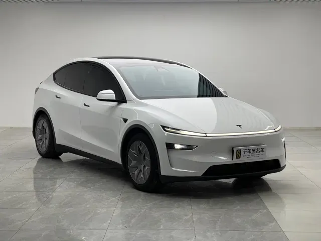 Tesla Model Y L — Фото автомобиля 3