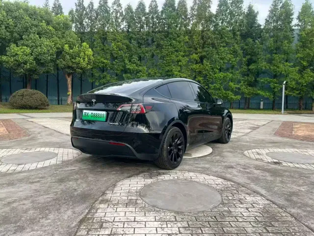 Tesla Model Y — Фото автомобиля 9