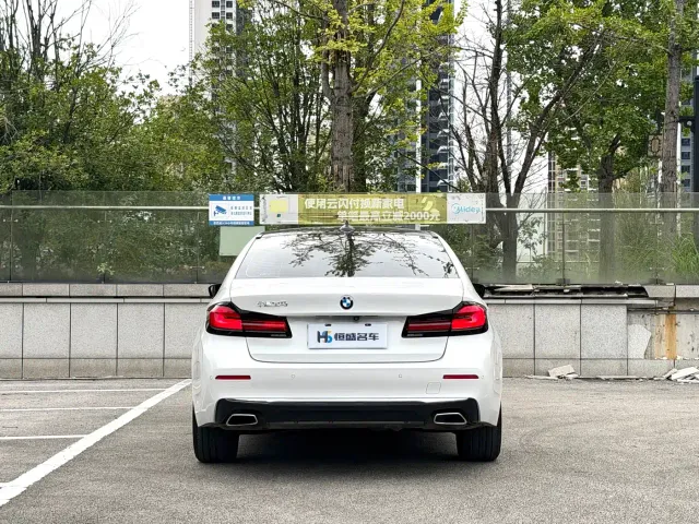 BMW 5 Series — Фото автомобиля 8