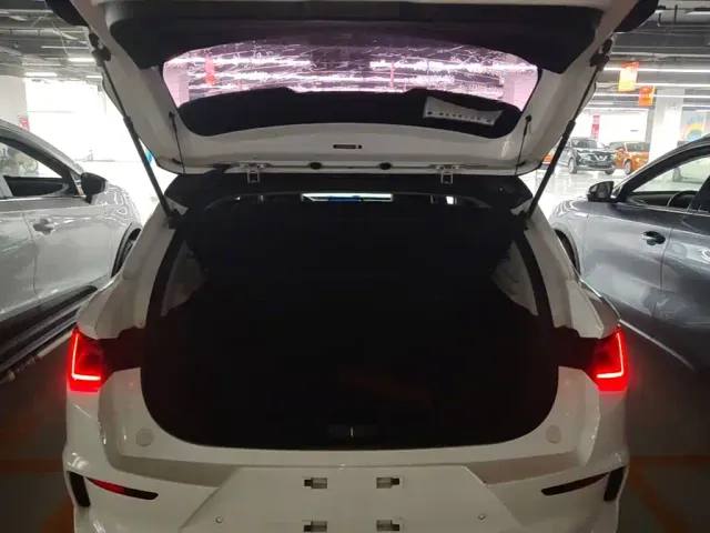 BYD BYD e2 2021 Premium Model — Фото автомобиля 18