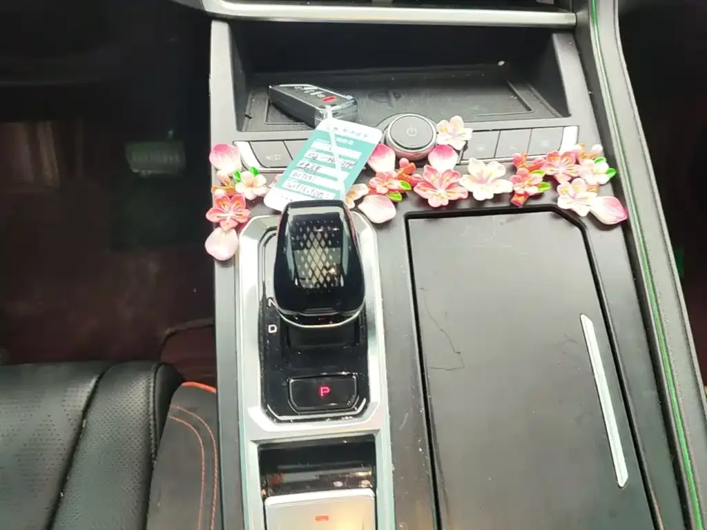 WEY Macchiato DHT-PHEV 2021 1.5L Master Edition — Фото автомобиля 13
