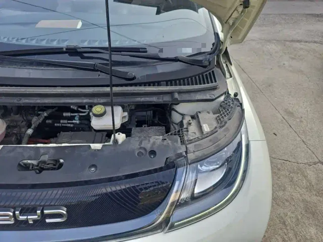 BYD Dolphin — Фото автомобиля 18