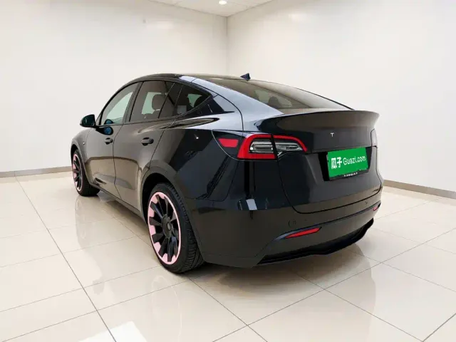 Tesla Model Y — Фото автомобиля 4