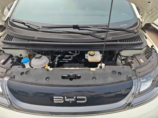 BYD Dolphin — Фото автомобиля 19