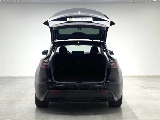 Tesla Model Y — Фото автомобиля 10