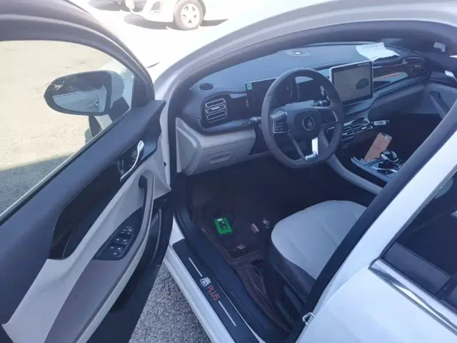 BYD Qin PLUS — Фото автомобиля 15