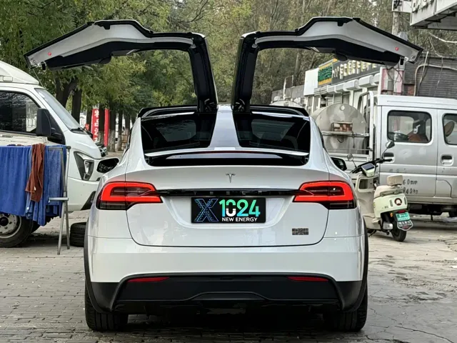 Tesla Model X — Фото автомобиля 8