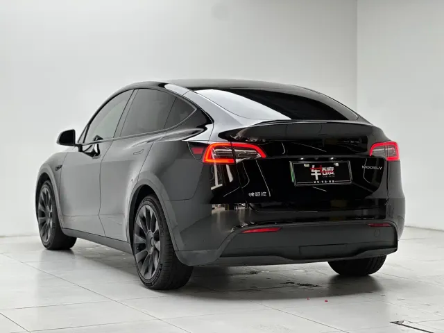 Tesla Model Y — Фото автомобиля 6