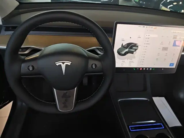 Tesla Model Y — Фото автомобиля 13