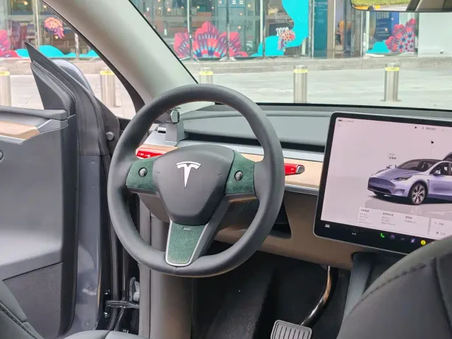 Tesla Model Y — Фото автомобиля 22
