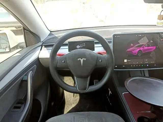 Tesla Model Y — Фото автомобиля 10