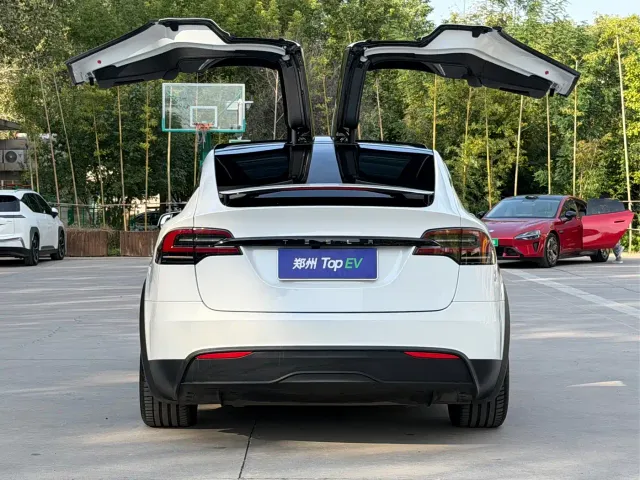 Tesla Model X — Фото автомобиля 9