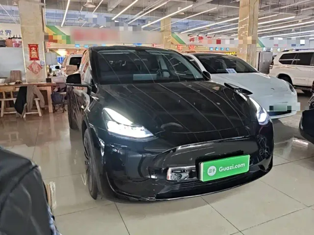 Tesla Model Y — Фото автомобиля 3