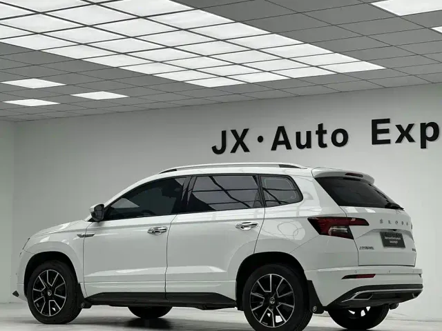 Skoda Karoq — Фото автомобиля 22