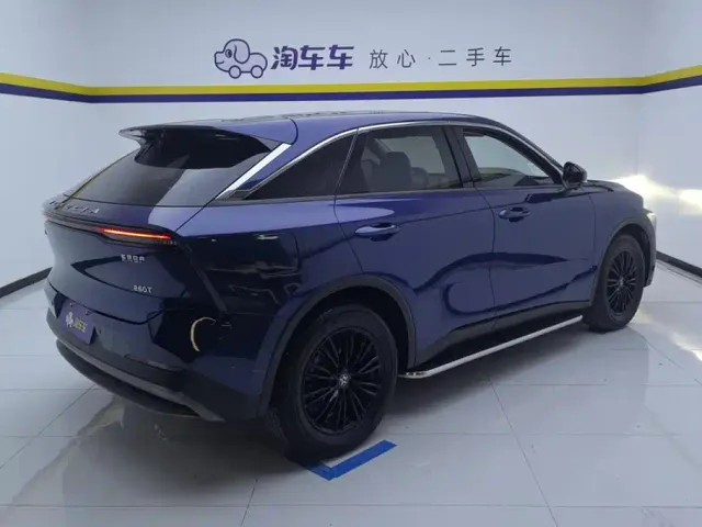 Venucia Venucia Big V 2021 260T Idol Edition — Фото автомобиля 3