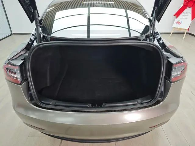 Tesla Model 3 — Фото автомобиля 8