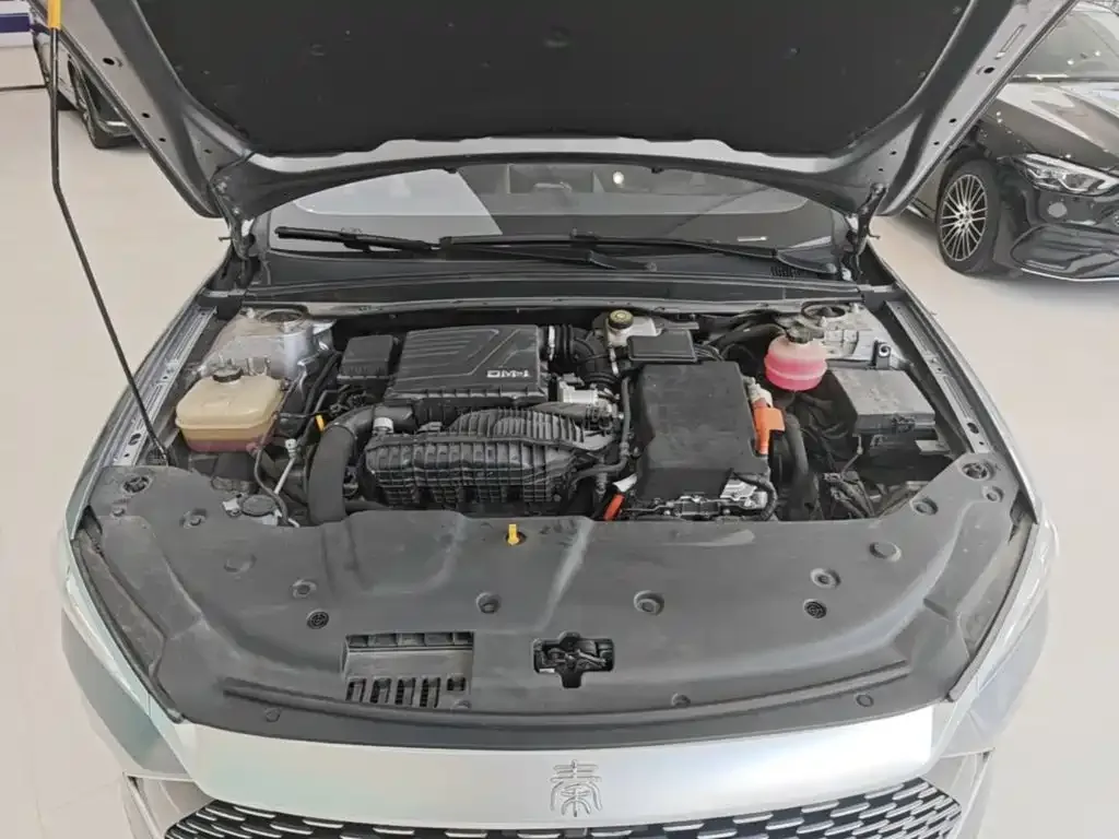 BYD Qin PLUS 2021 DM-i 55KM Premium — Фото автомобиля 19