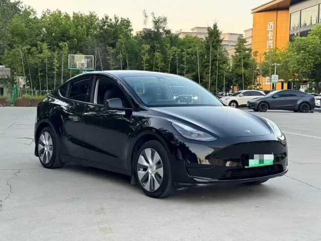 Tesla Model Y — Фото автомобиля 3