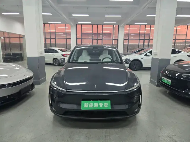 Tesla Model Y — Фото автомобиля 2