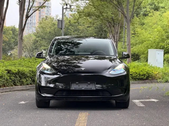 Tesla Model Y — Фото автомобиля 2